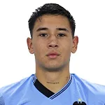 N. Garrido