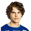 A. Loukiainen
