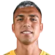 G. Bustos