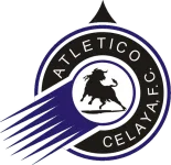 Celaya 2