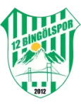 12 Bingölspor