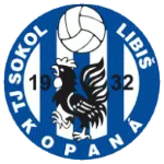 Sokol Libiš